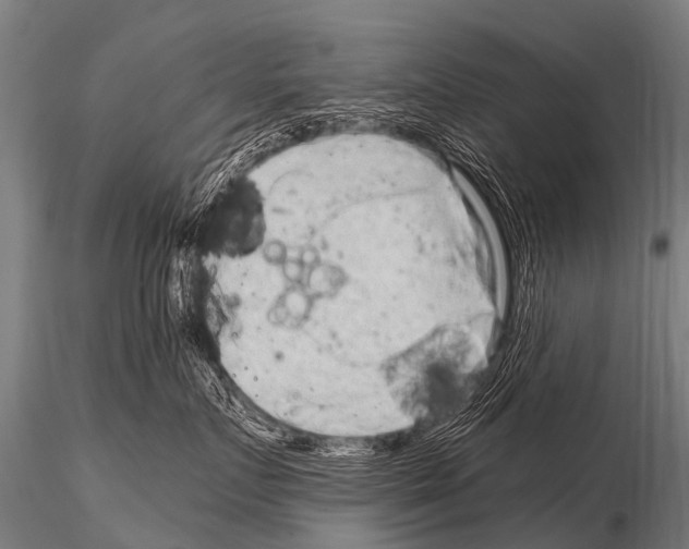 X0000115210719200912091158