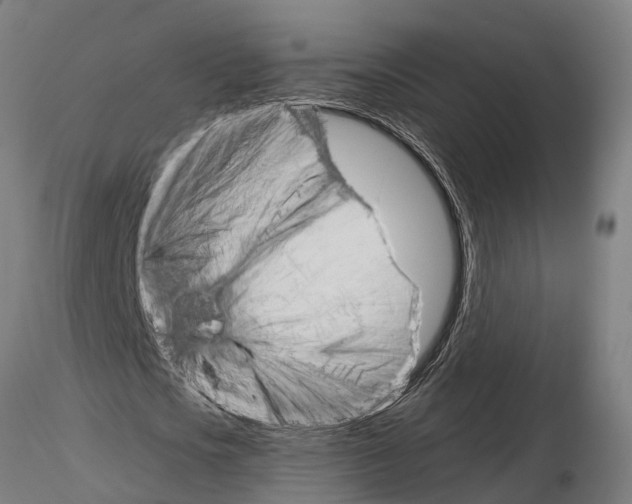 X0000115210721200912091157