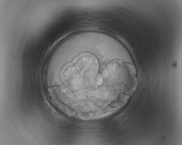 X0000115210722200912091157