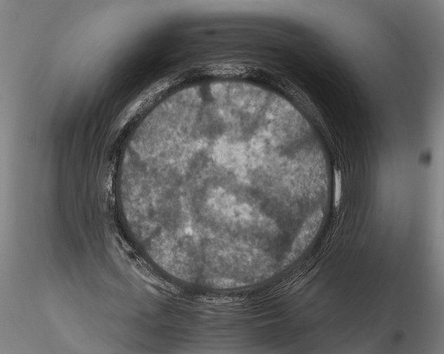 X0000115210723200912091157