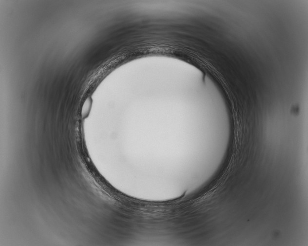 X0000115210725200912091157