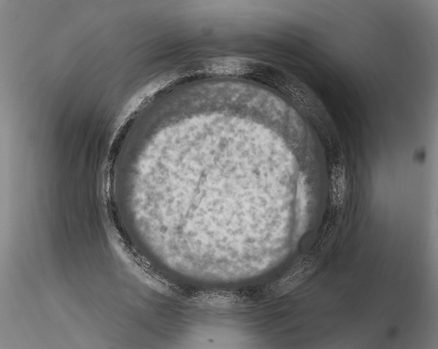 X0000115210726200912091157