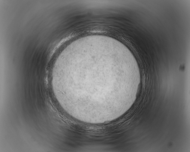 X0000115210727200912091157