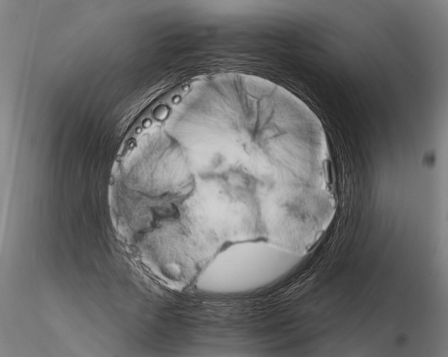 X0000115210729200912091157