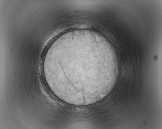 X0000115210730200912091157