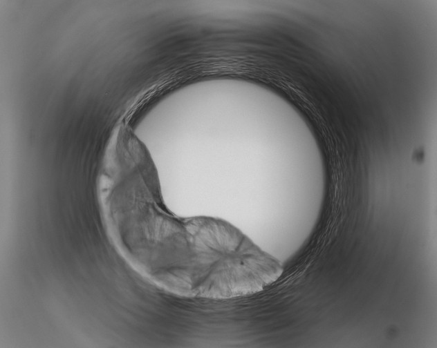 X0000115210733200912091157