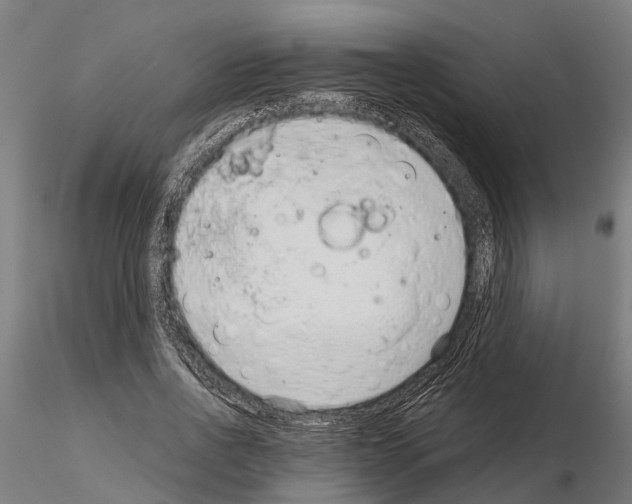 X0000115210734200912091157