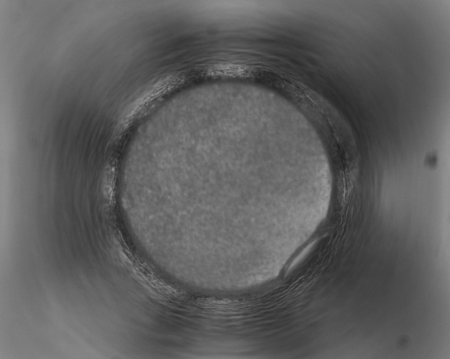 X0000115210735200912091157