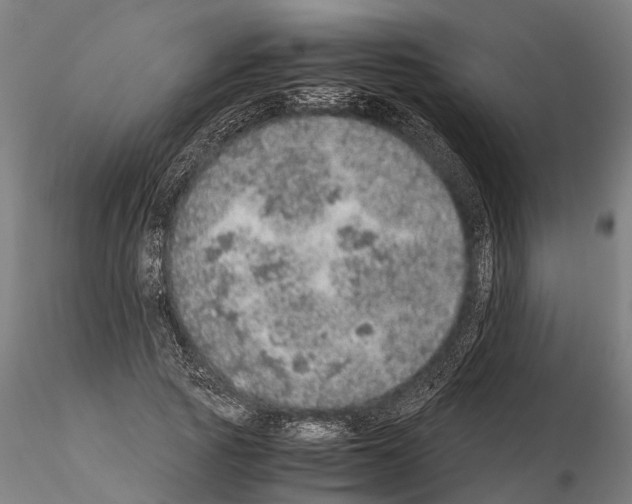 X0000115210737200912091157