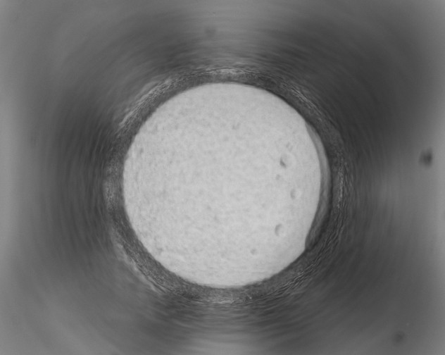 X0000115210738200912091157