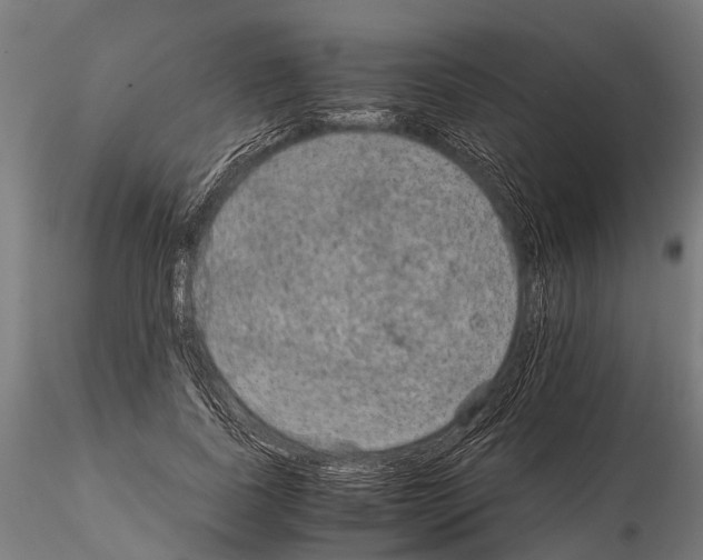 X0000115210739200912091157