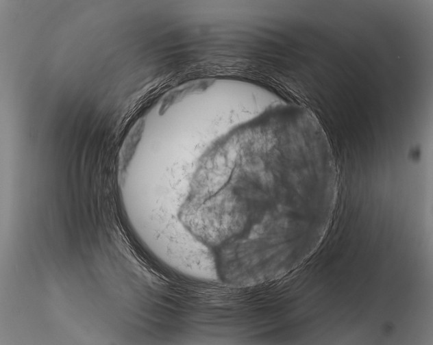 X0000115210741200912091157