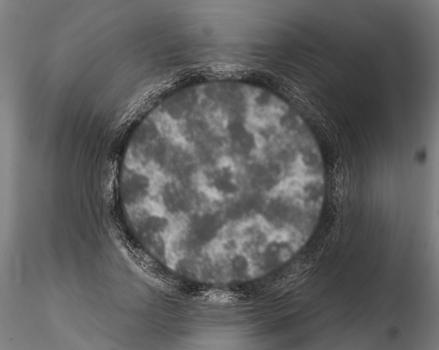 X0000115210742200912091157