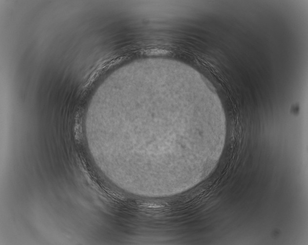 X0000115210743200912091157