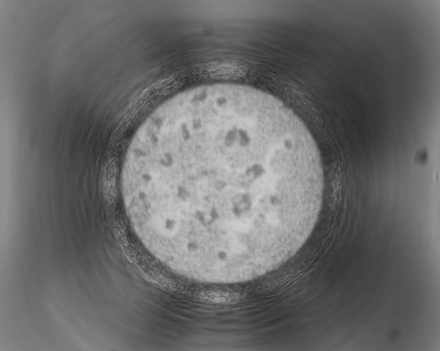 X0000115210745200912091157