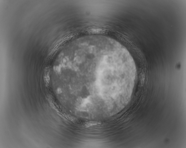 X0000115210746200912091157