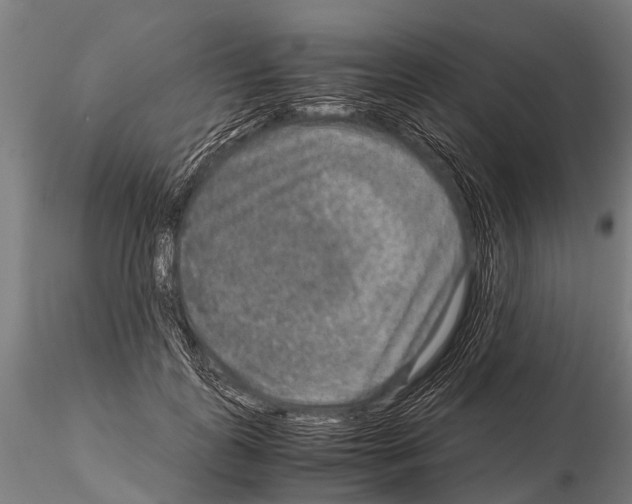 X0000115210747200912091157