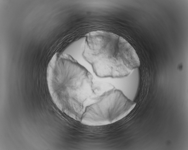 X0000115210749200912091157