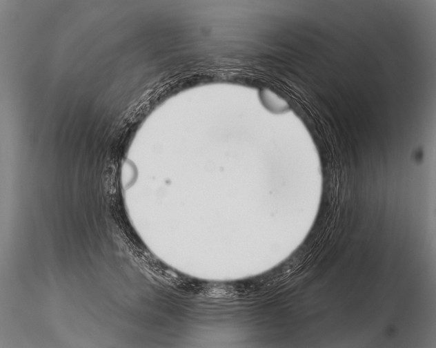 X0000115210750200912091157