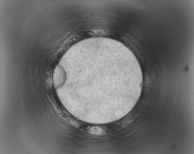 X0000115210751200912091157