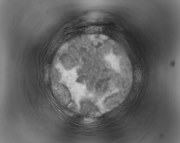 X0000115210753200912091157