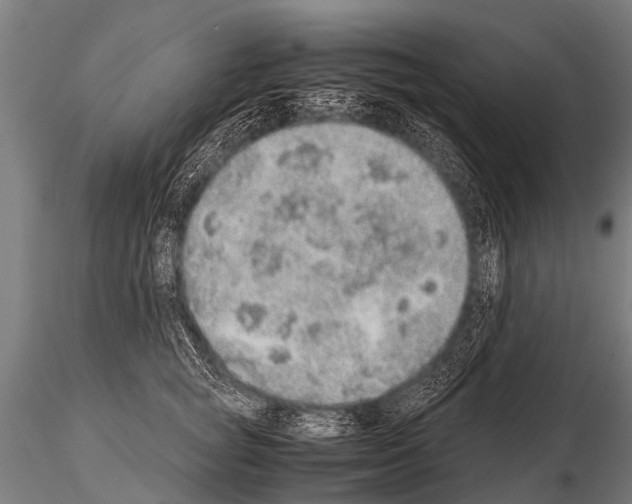 X0000115210757200912091157