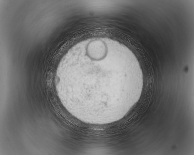 X0000115210758200912091157