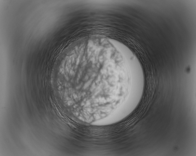 X0000115210759200912091157