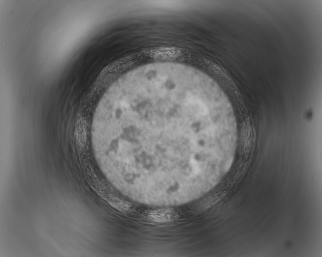 X0000115210761200912091157