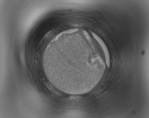 X0000115210762200912091157