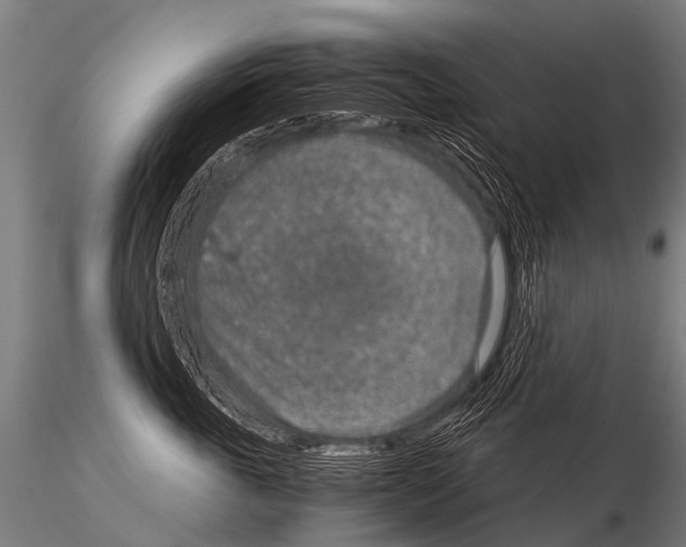 X0000115210763200912091158