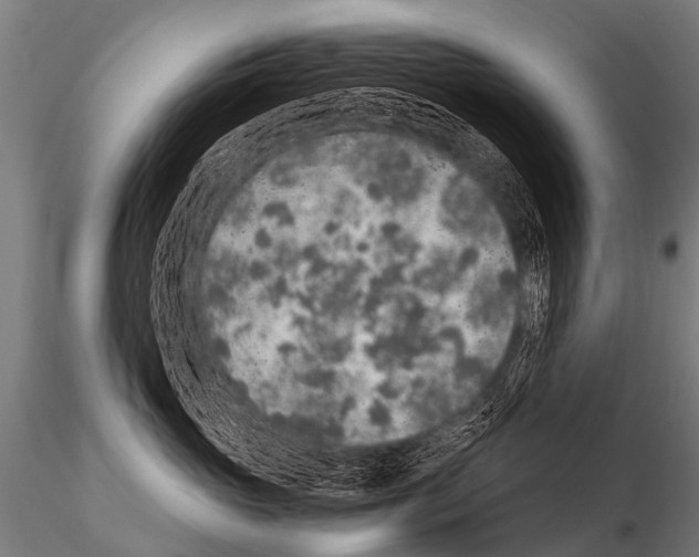 X0000115210765200912091158