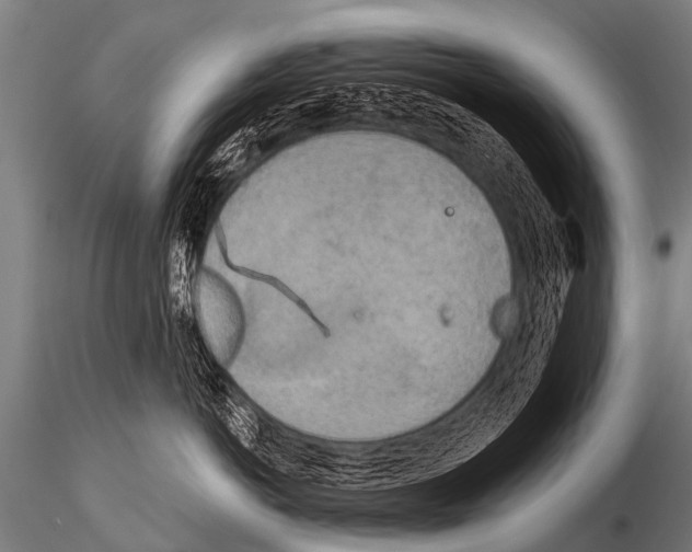 X0000115210766200912091158