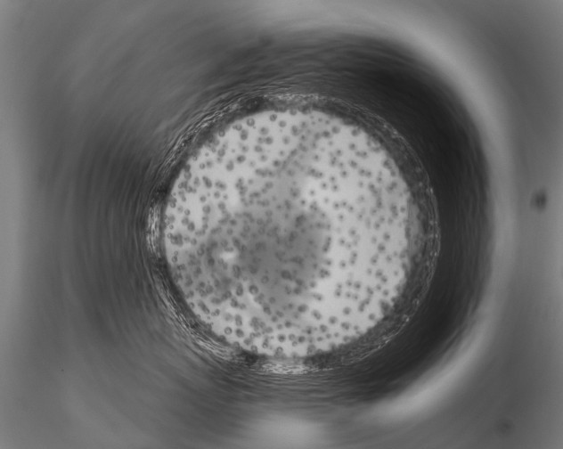 X0000115210767200912091158