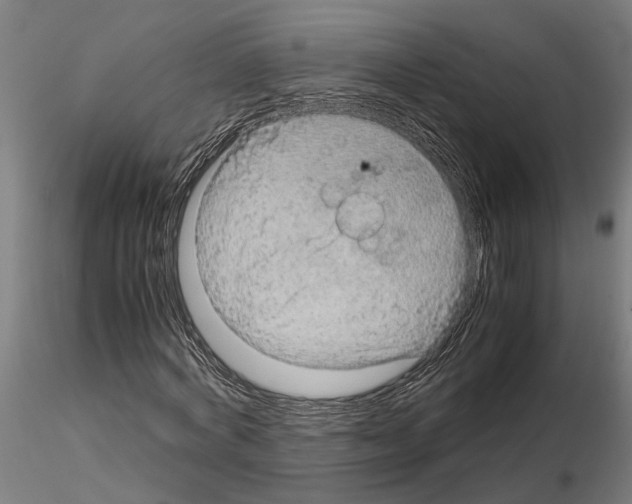 X0000115210772200912091157