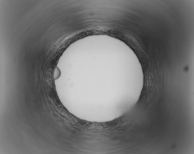 X0000115210773200912091157