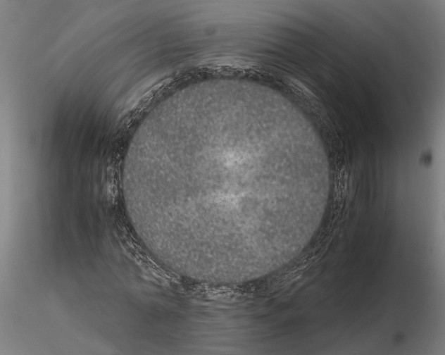 X0000115210774200912091157