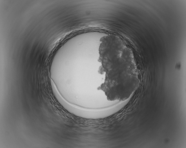 X0000115210776200912091157