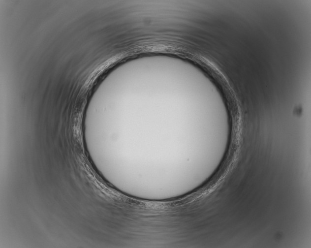 X0000115210777200912091157