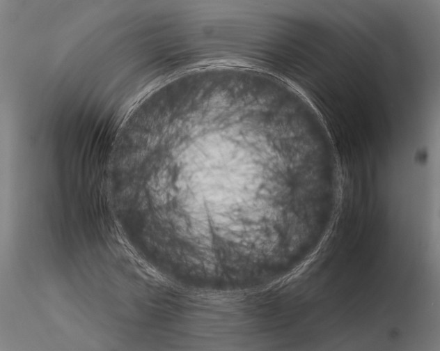 X0000115210778200912091157