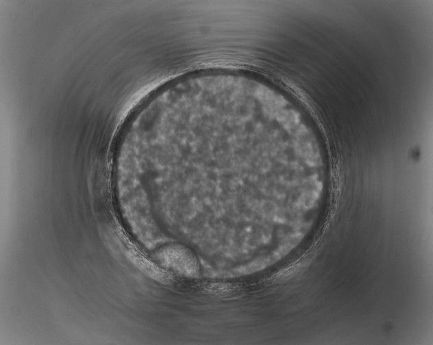 X0000115210779200912091157