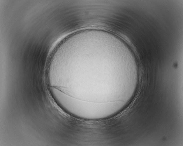 X0000115210780200912091157