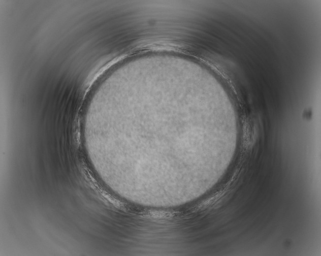 X0000115210782200912091157