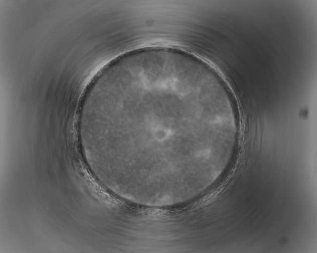 X0000115210783200912091157