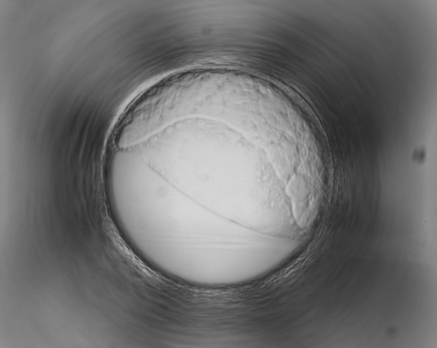 X0000115210784200912091157