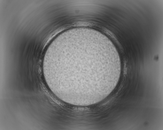 X0000115210786200912091157