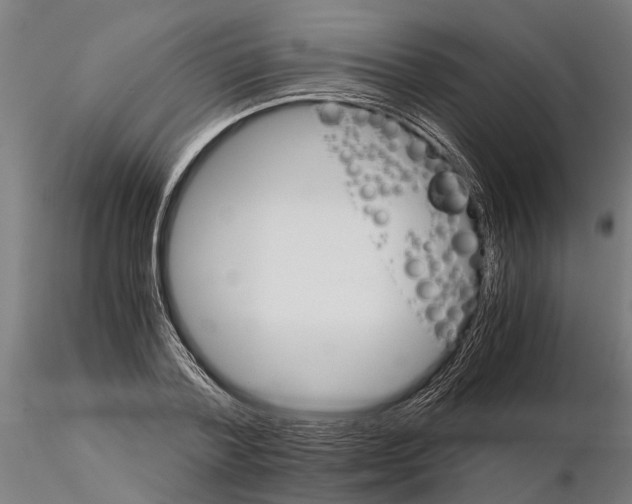 X0000115210788200912091157