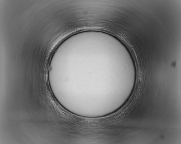 X0000115210789200912091157