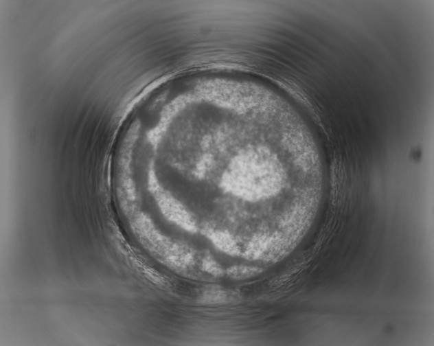 X0000115210790200912091157