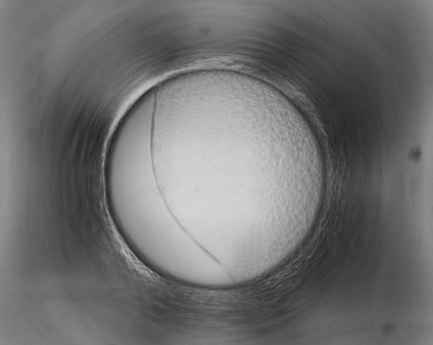 X0000115210792200912091157